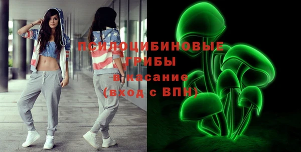 прущий лед Алексин